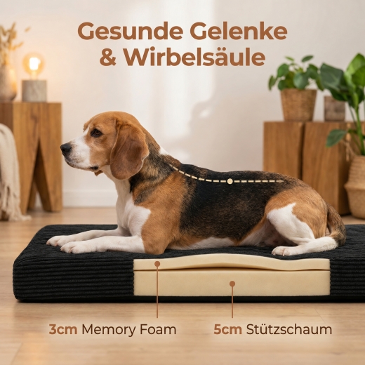 Die schwarze SOLIDOG Hundematratze kombiniert 3 cm druckentlastenden Memory Foam mit 5 cm stabilem Stützschaum. Der zweischichtige Aufbau unterstützt Gelenke und Wirbelsäule und sorgt für eine komfortable, körpergerechte Liegefläche.