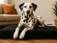 Orthopädische Hundematratze 80 × 60 cm – Schwarz