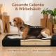 Die schwarze SOLIDOG Hundematratze kombiniert 3 cm druckentlastenden Memory Foam mit 5 cm stabilem Stützschaum. Der zweischichtige Aufbau unterstützt Gelenke und Wirbelsäule und sorgt für eine komfortable, körpergerechte Liegefläche.